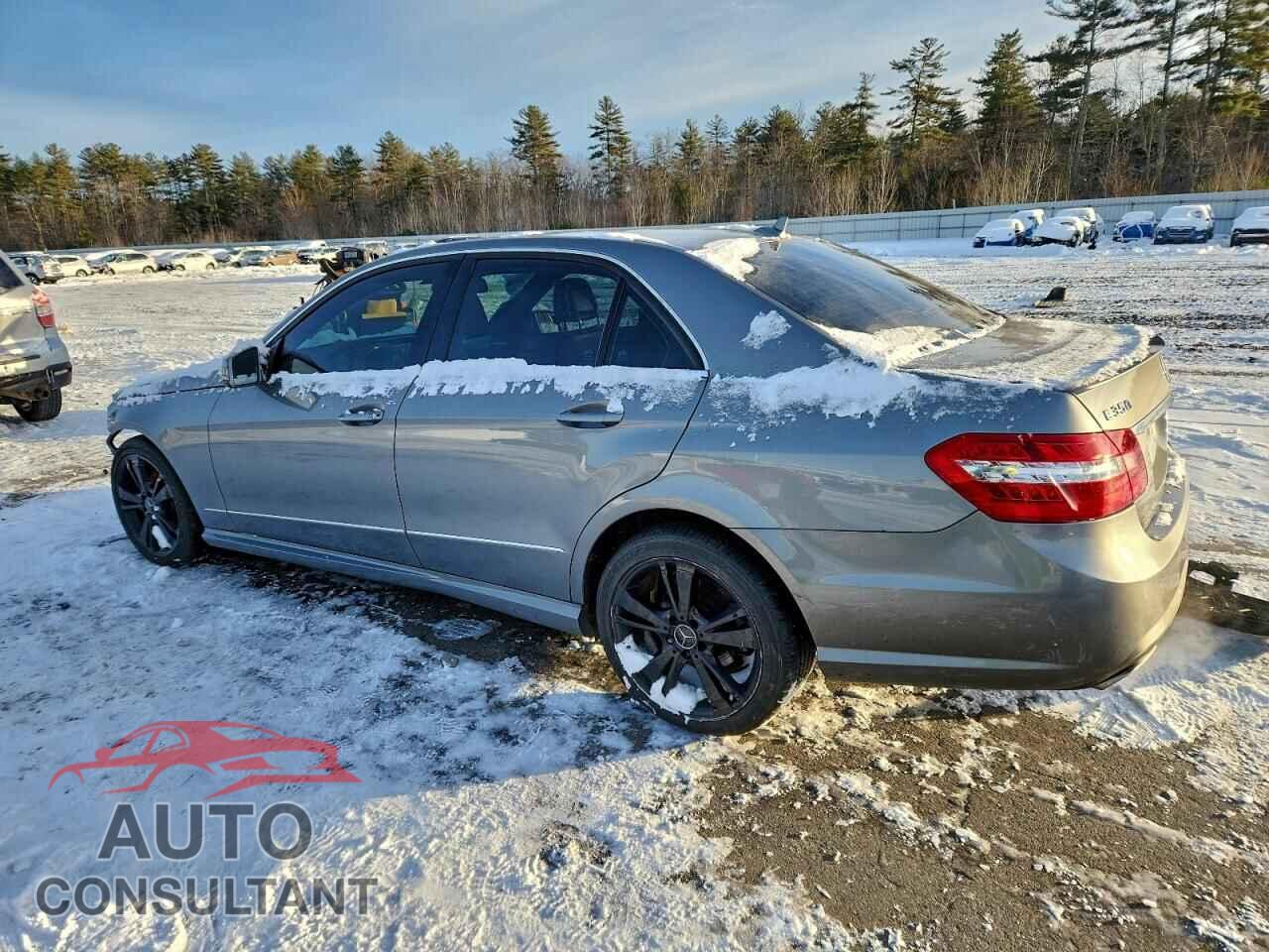 MERCEDES-BENZ E-CLASS 2013 - WDDHF8JB4DA727941