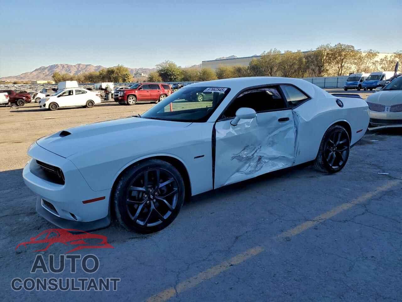 DODGE CHALLENGER 2019 - 2C3CDZBT9KH521640