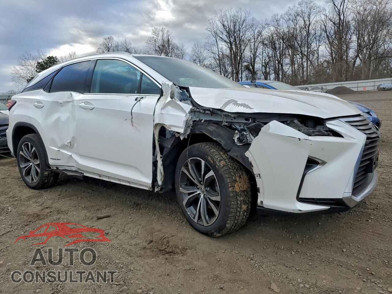 LEXUS RX450 2017 - 2T2BGMCA4HC020149