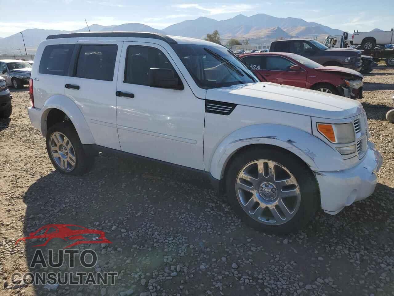 DODGE NITRO 2011 - 1D4PU4GX0BW554364