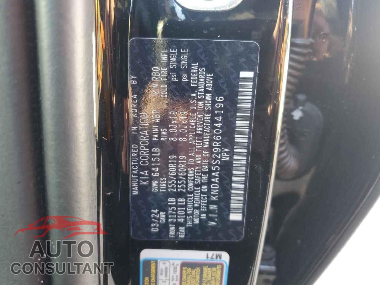 KIA EV9 LIGHT 2024 - KNDAA5S29R6044196
