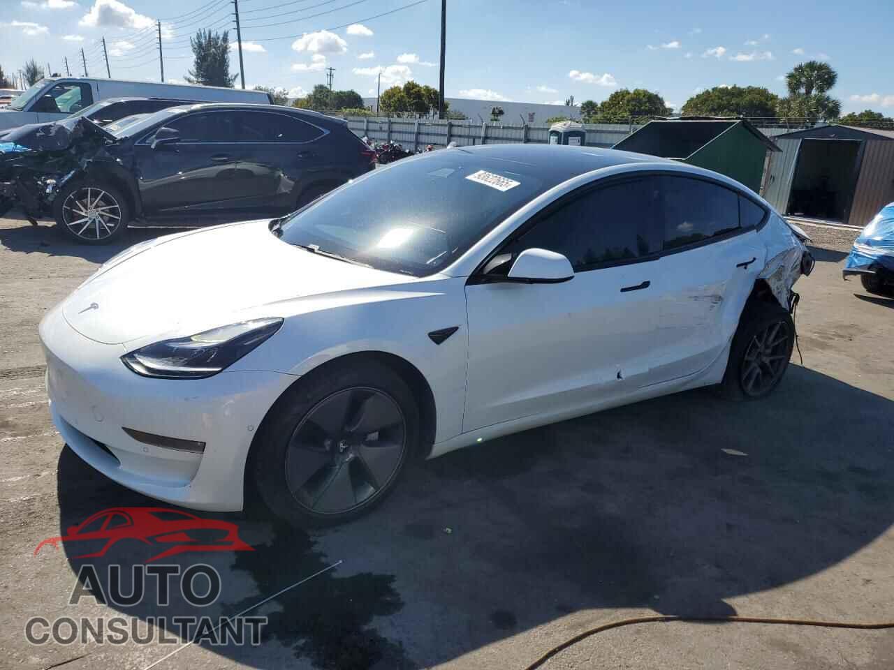TESLA MODEL 3 2021 - 5YJ3E1EB2MF919231