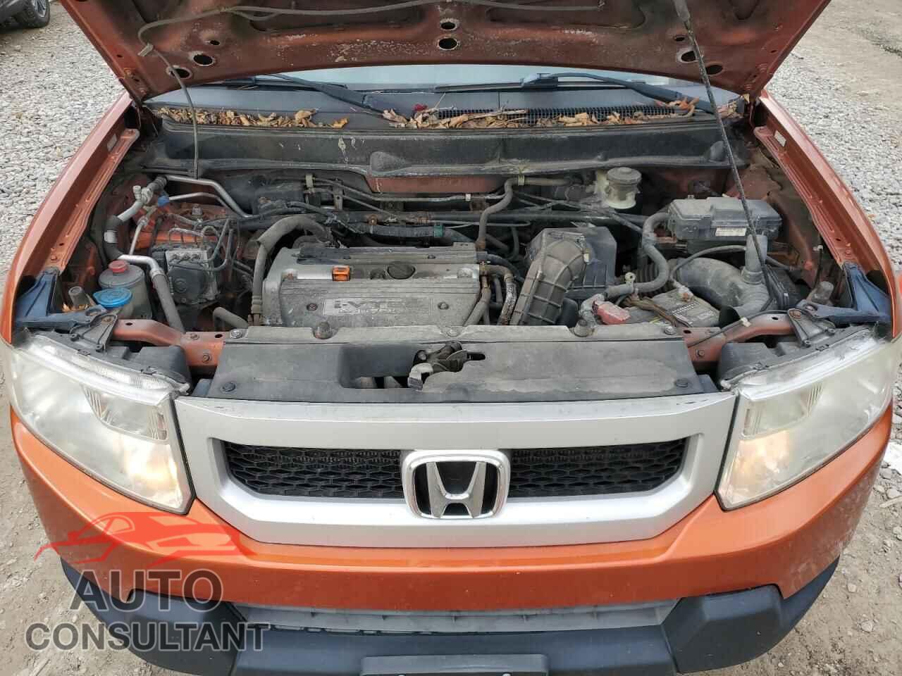 HONDA ELEMENT 2011 - 5J6YH2H76BL004803