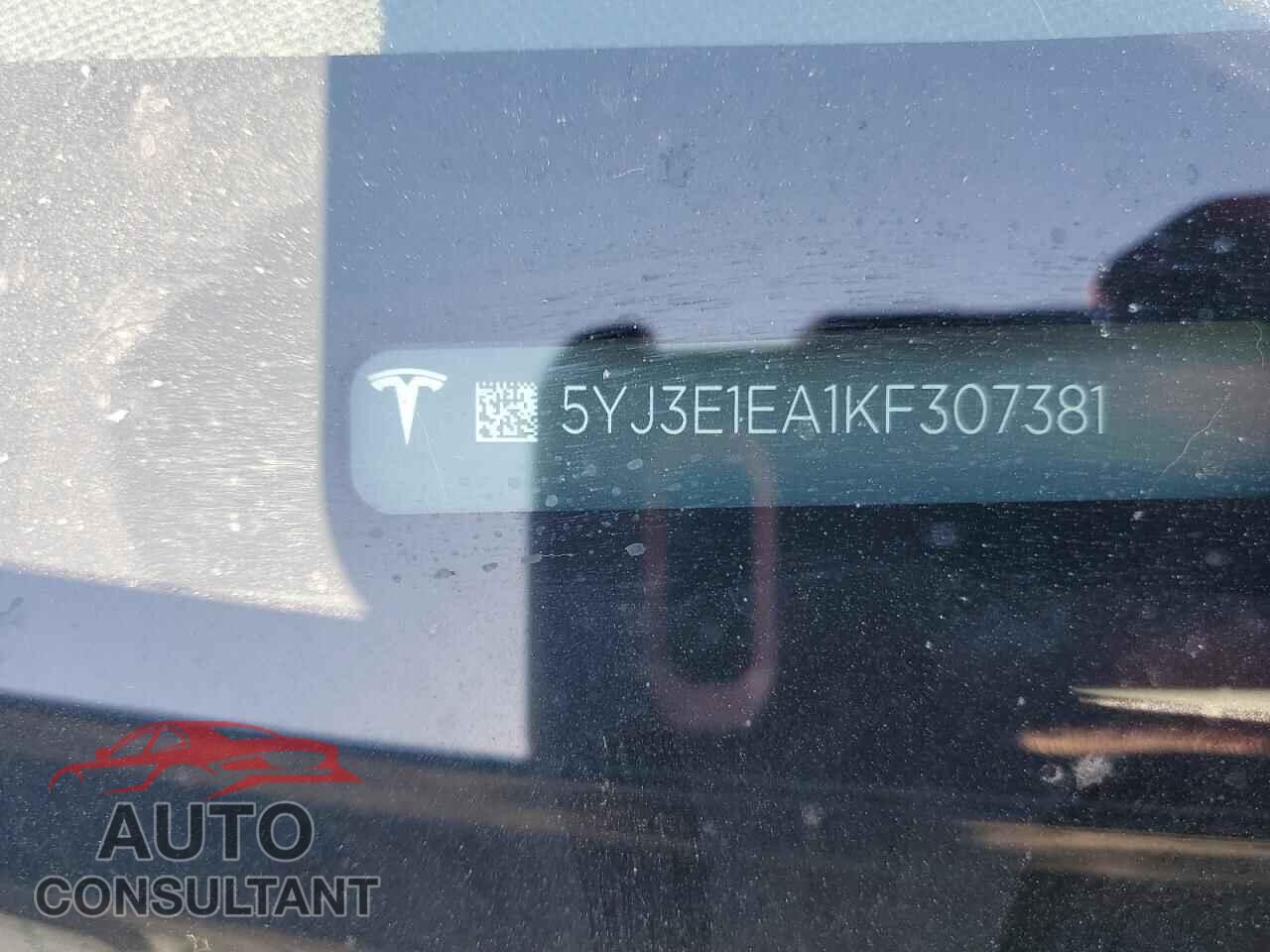 TESLA MODEL 3 2019 - 5YJ3E1EA1KF307381