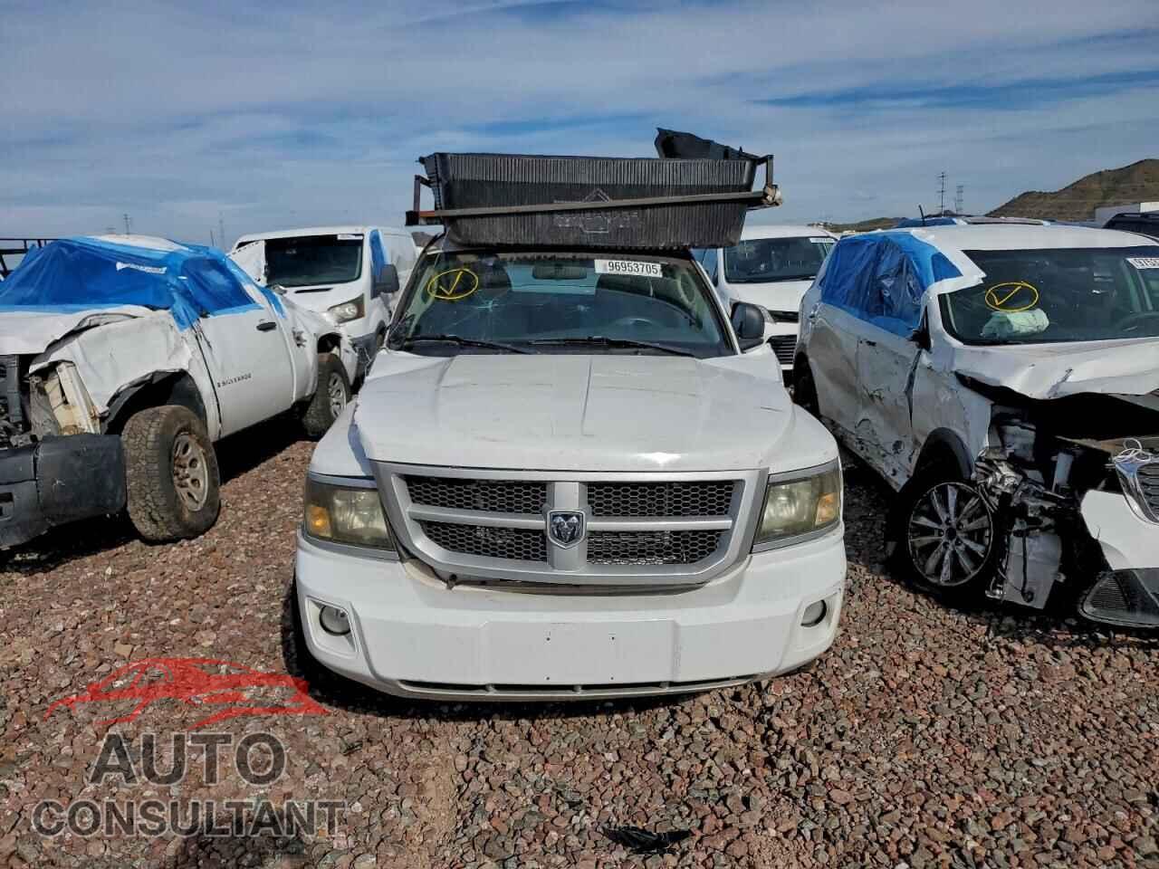DODGE DAKOTA 2011 - 1D7RE3BP3BS633691