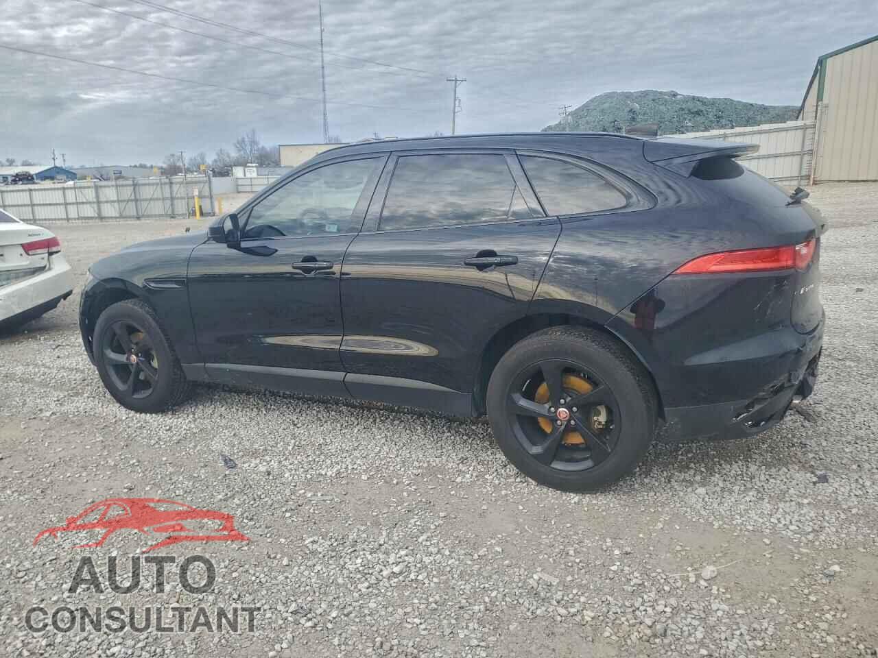 JAGUAR F-PACE 2020 - SADCK2FX8LA628799