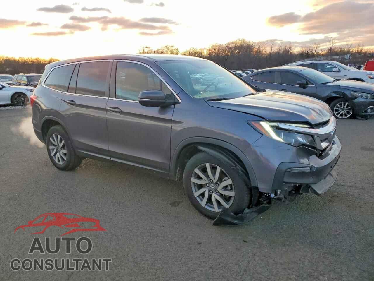 HONDA PILOT 2021 - 5FNYF6H37MB081153