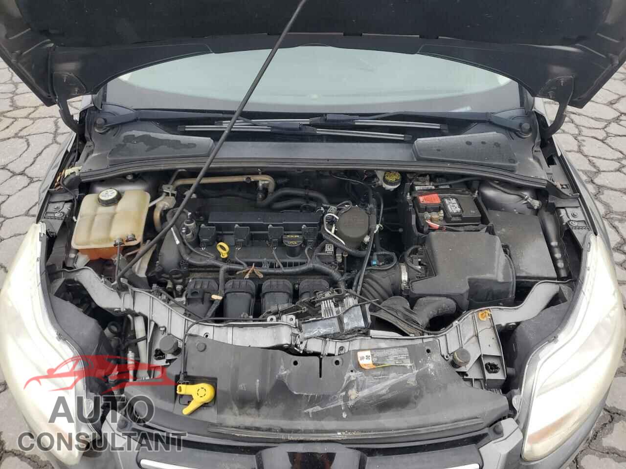 FORD FOCUS 2012 - 1FAHP3H25CL462021