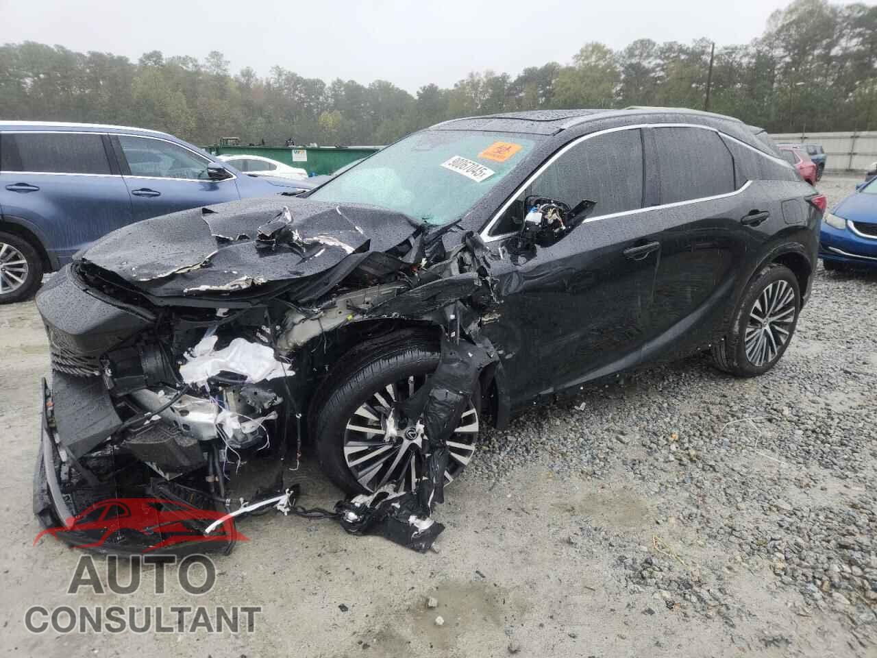 LEXUS RX 350H BA 2024 - 2T2BBMCA5RC055184