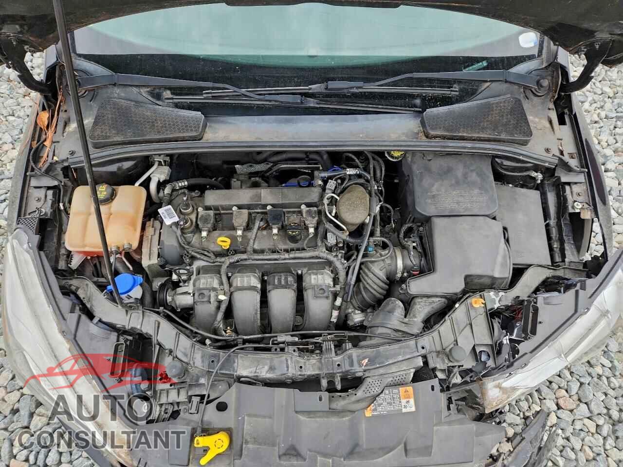 FORD FOCUS 2016 - 1FADP3K21GL277638