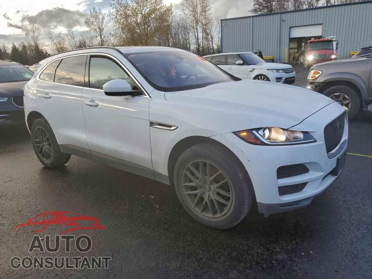 JAGUAR F-PACE 2020 - SADCJ2FX3LA658053
