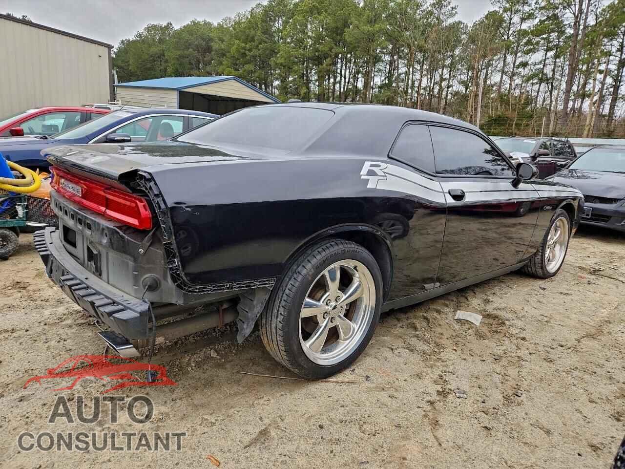 DODGE CHALLENGER 2012 - 2C3CDYBT3CH225881