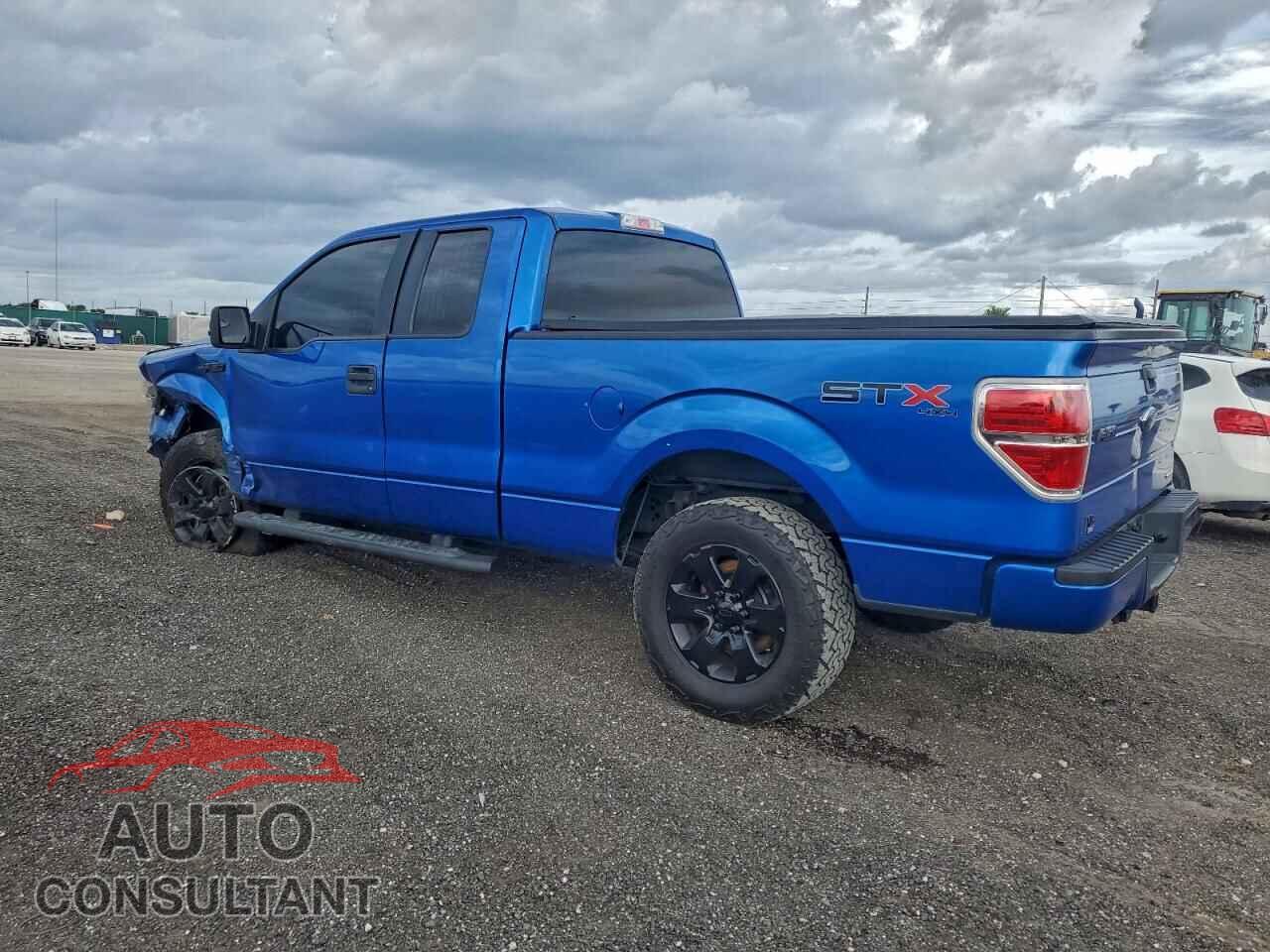 FORD F-150 2013 - 1FTFX1EF0DFD25517