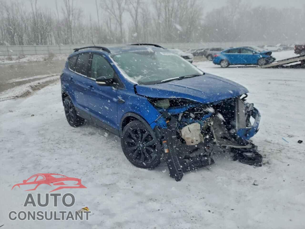 FORD ESCAPE 2017 - 1FMCU0JD9HUB21080