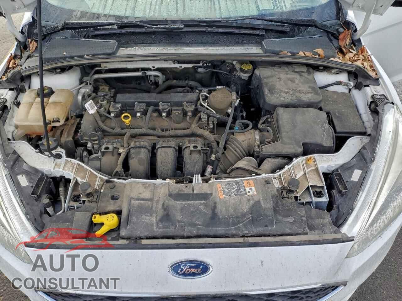 FORD FOCUS 2015 - 1FADP3F20FL348448