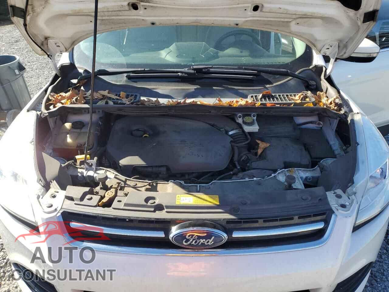 FORD ESCAPE 2014 - 1FMCU0JX2EUC81257