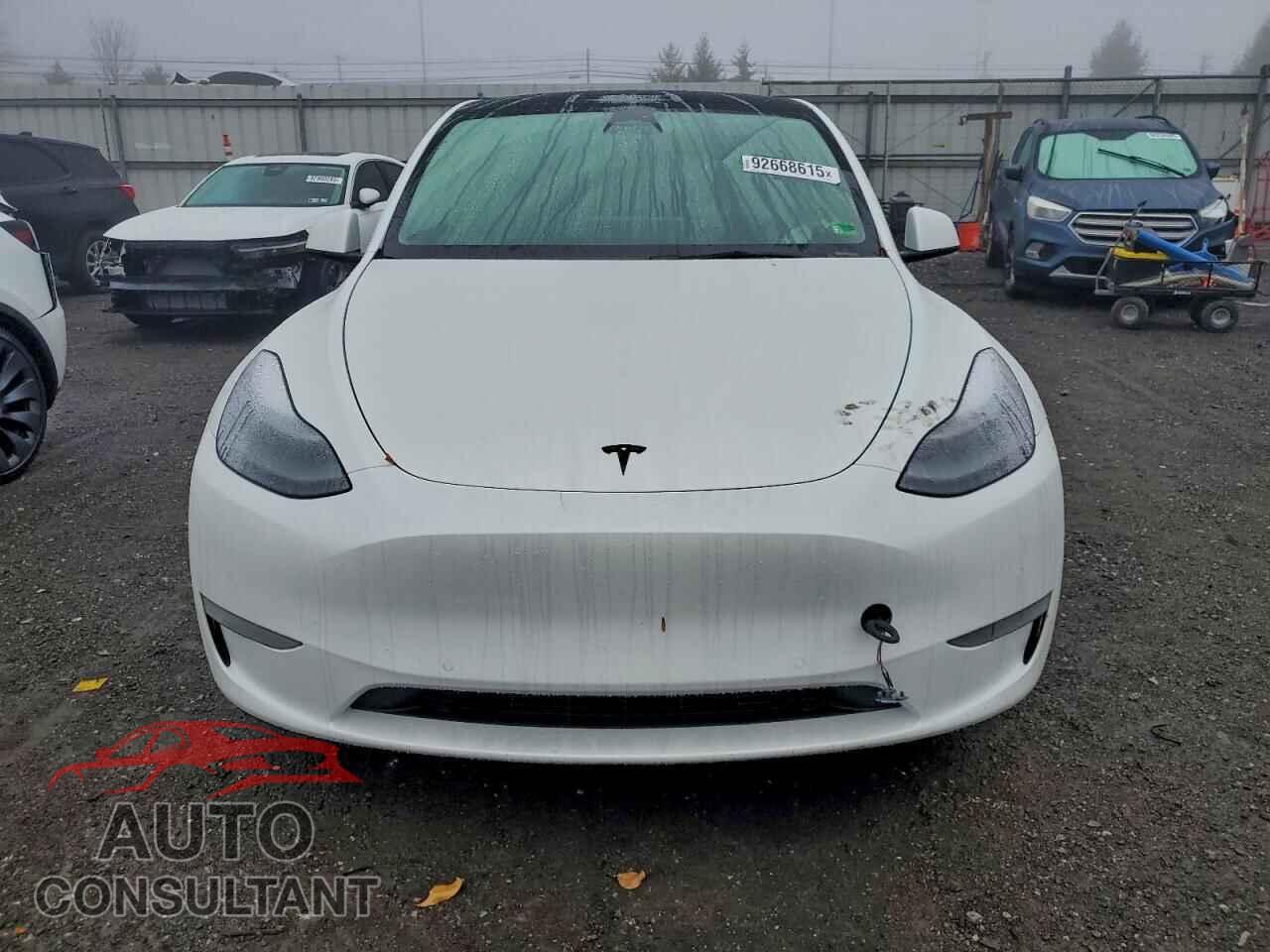 TESLA MODEL Y 2022 - 7SAYGDEF5NF513596