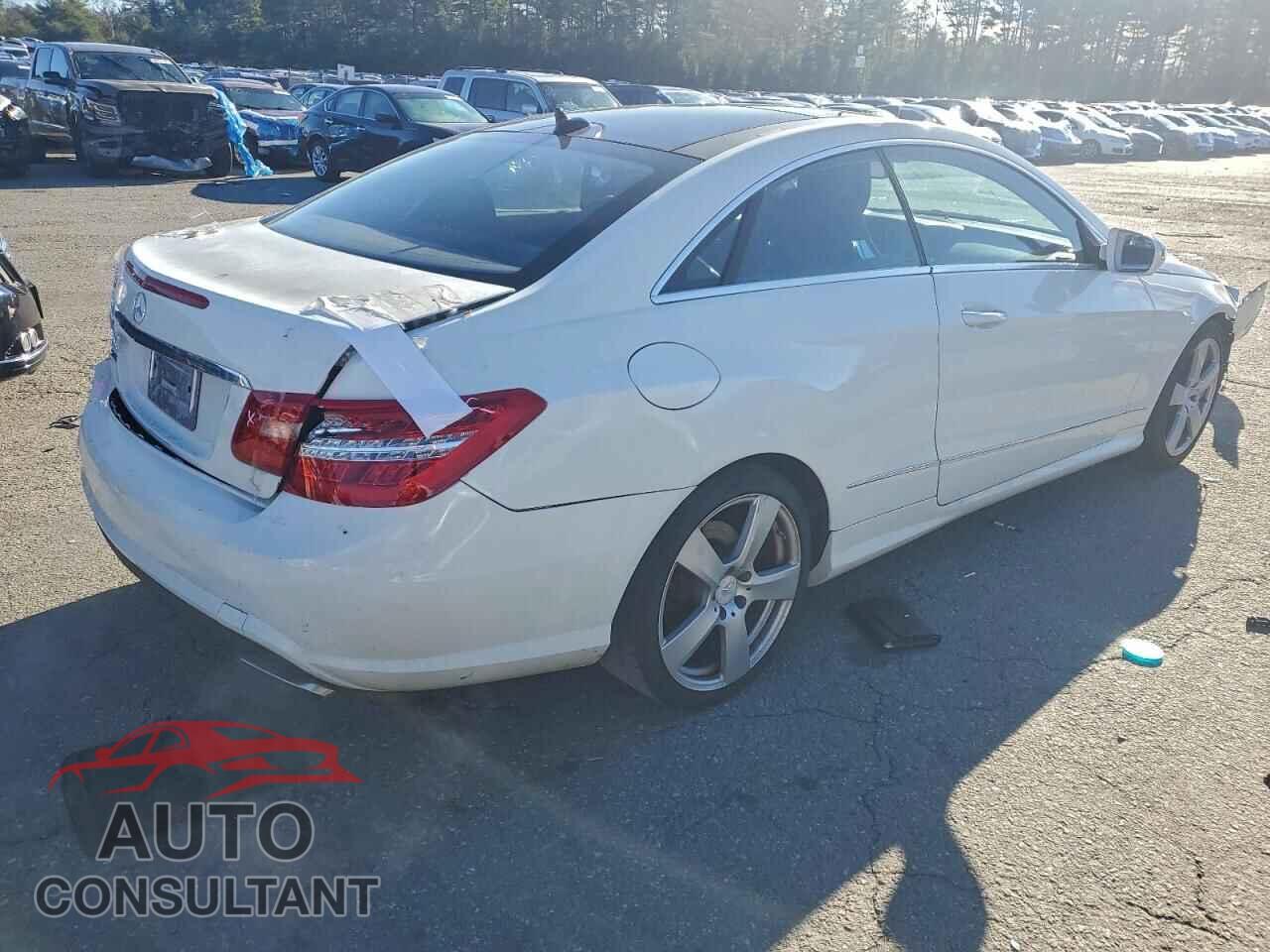 MERCEDES-BENZ E-CLASS 2010 - WDDKJ7CB4AF021028