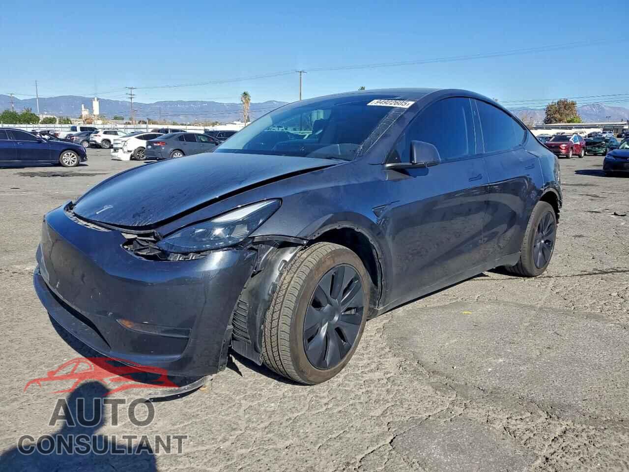 TESLA MODEL Y 2025 - 7SAYGDED4SF315232