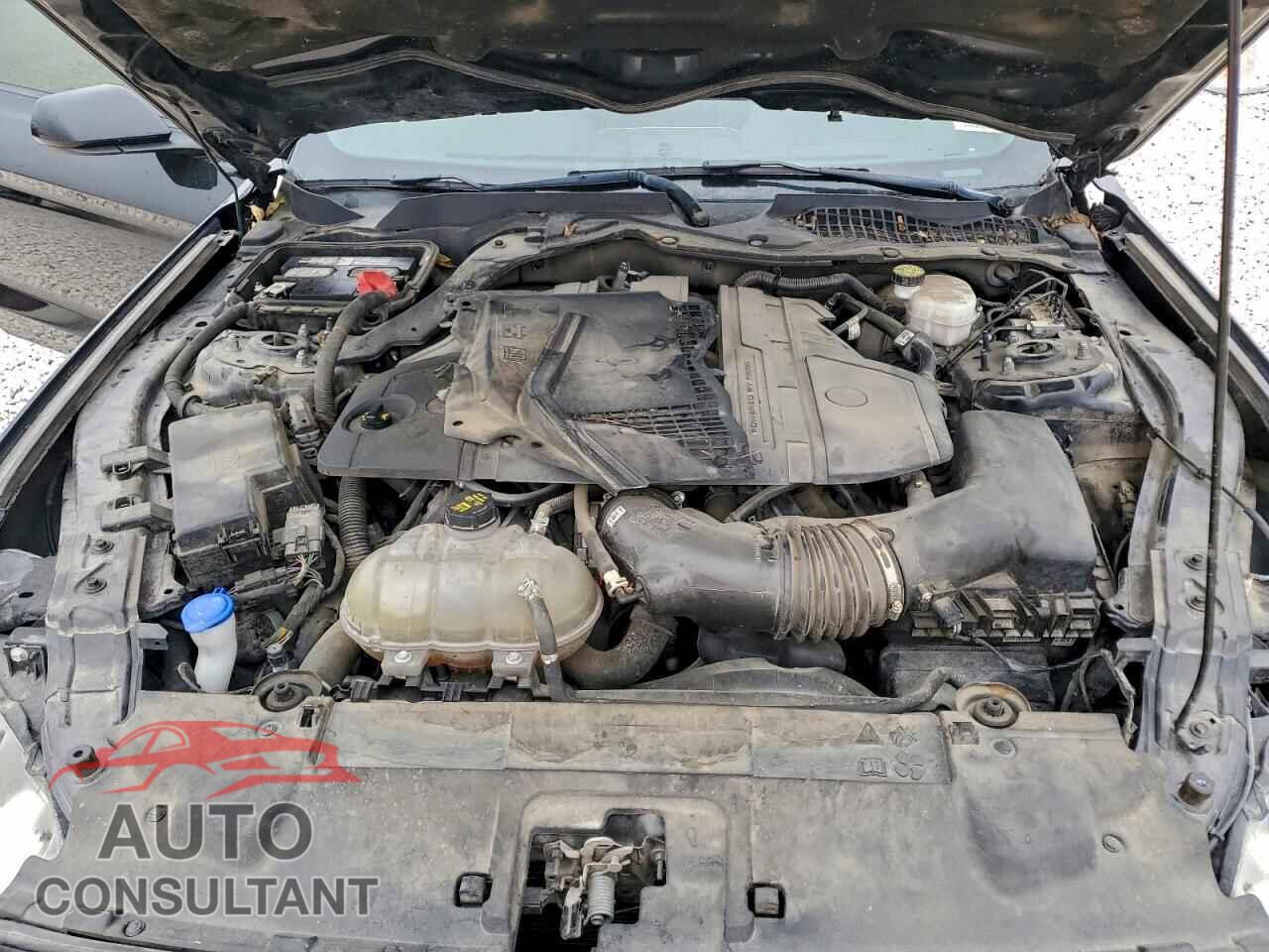 FORD MUSTANG 2021 - 1FA6P8CF1M5127861