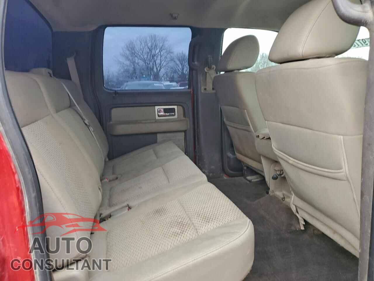 FORD F-150 2010 - 1FTEW1E86AFB02412
