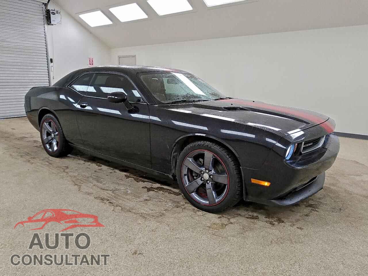 DODGE CHALLENGER 2013 - 2C3CDYAG3DH628992