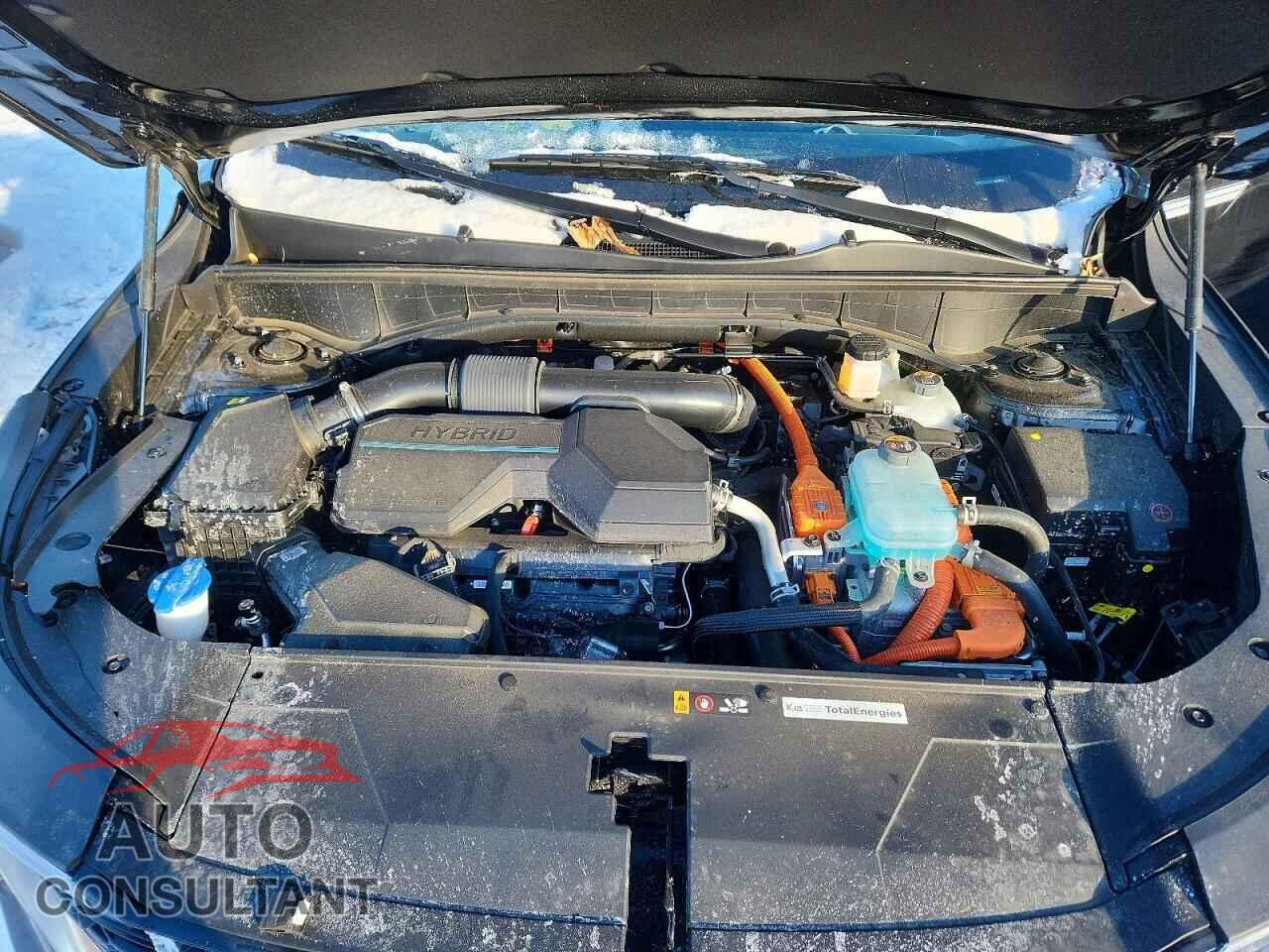 KIA SORENTO 2025 - KNDRMDJH3S5345097