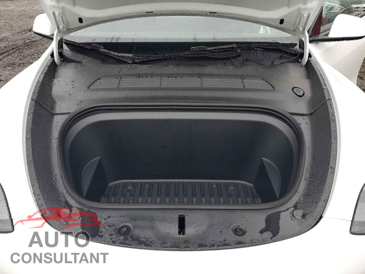 TESLA MODEL Y 2024 - 7SAYGDEEXRF204218