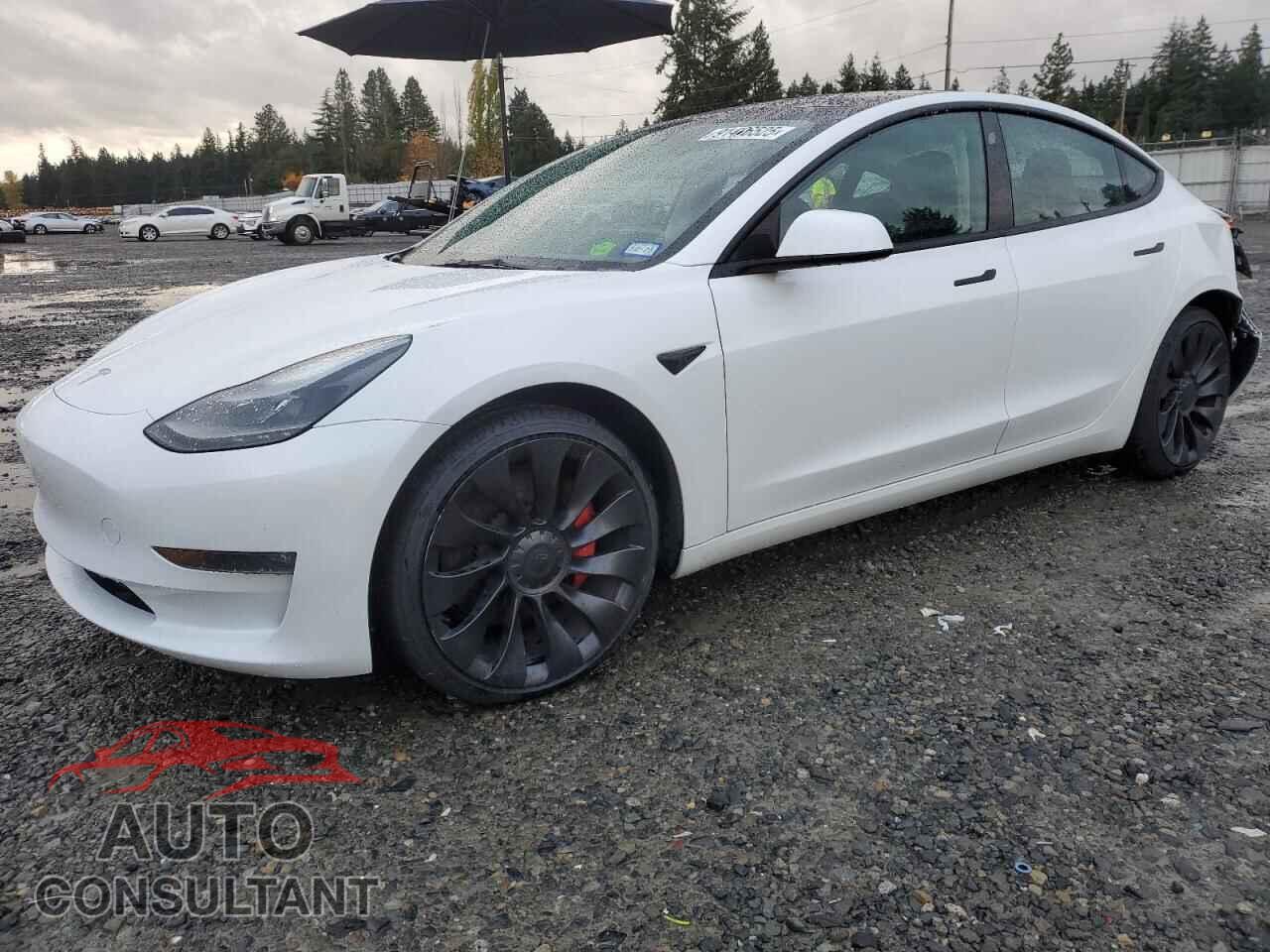 TESLA MODEL 3 2023 - 5YJ3E1EC1PF426461