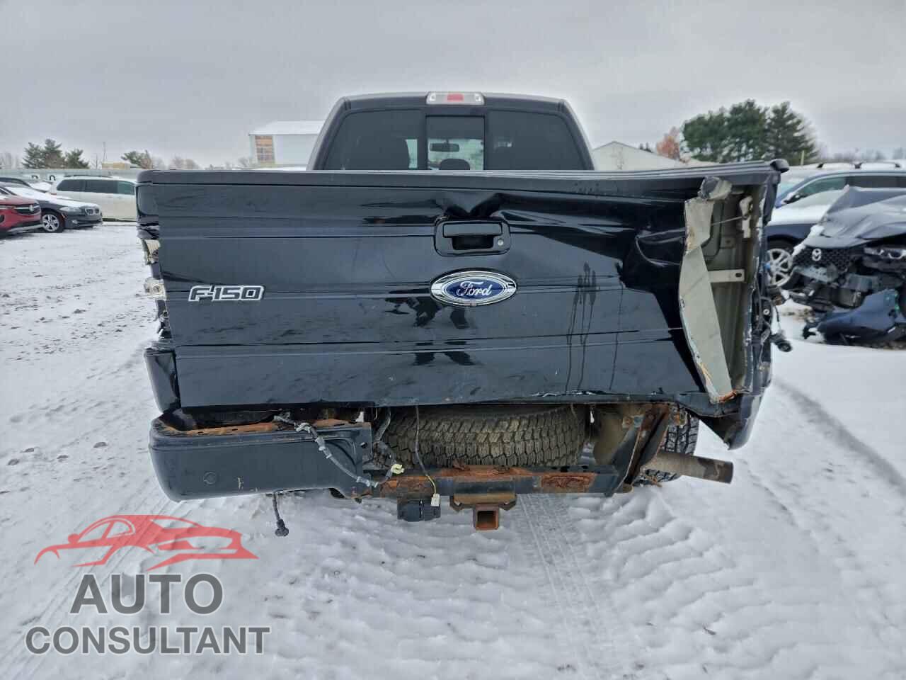 FORD F-150 2013 - 1FTFX1ET4DFB77832