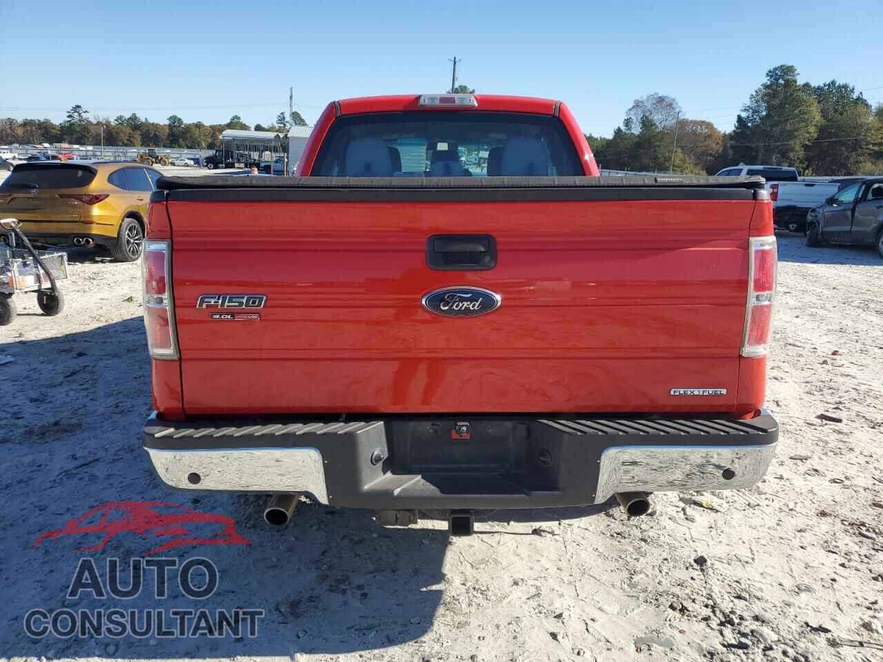 FORD F-150 2013 - 1FTFX1CF3DFD75184