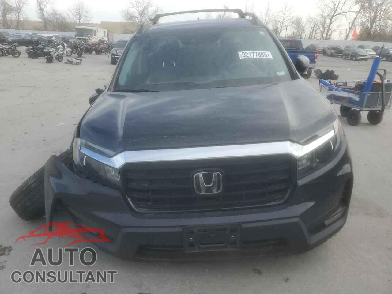 HONDA RIDGELINE 2023 - 5FPYK3F74PB032049