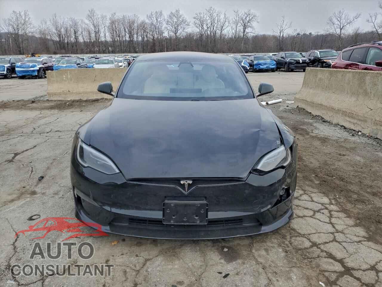 TESLA MODEL S 2023 - 5YJSA1E56PF511935