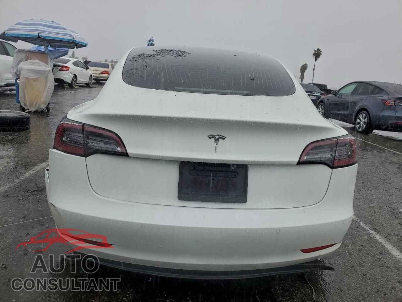 TESLA MODEL 3 2020 - 5YJ3E1EA2LF743867