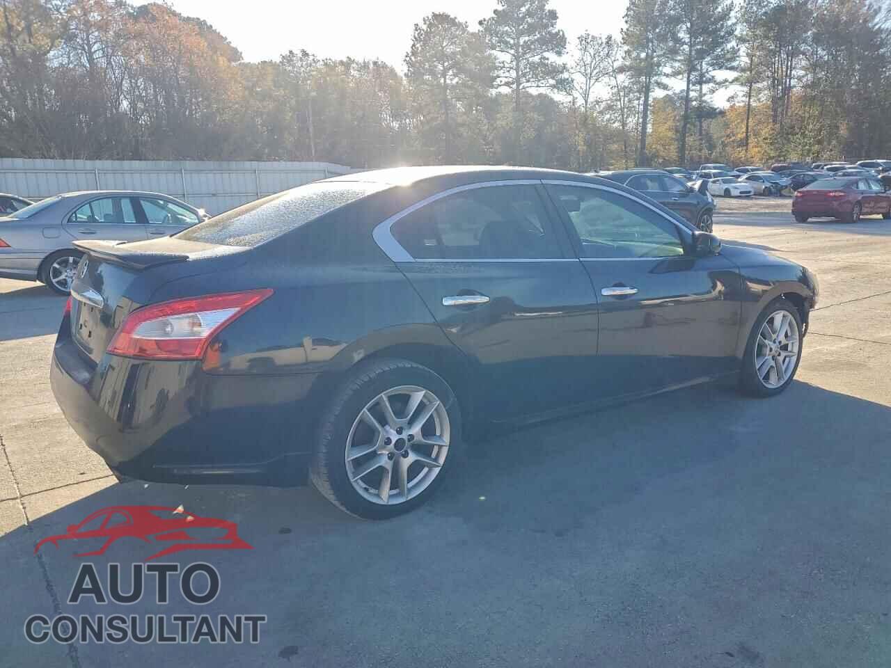 NISSAN MAXIMA 2009 - 1N4AA51E99C853975