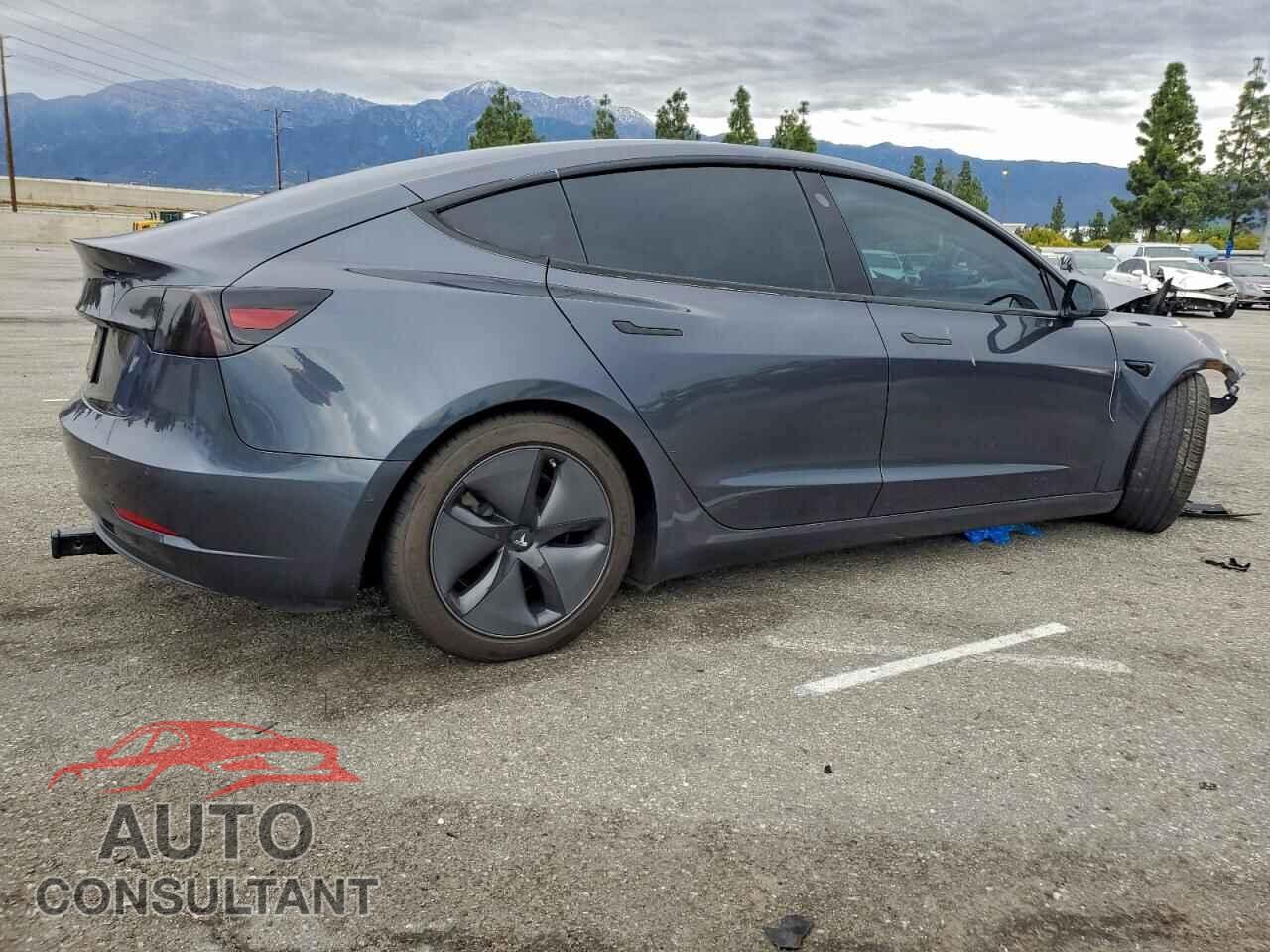TESLA MODEL 3 2019 - 5YJ3E1EA6KF480247
