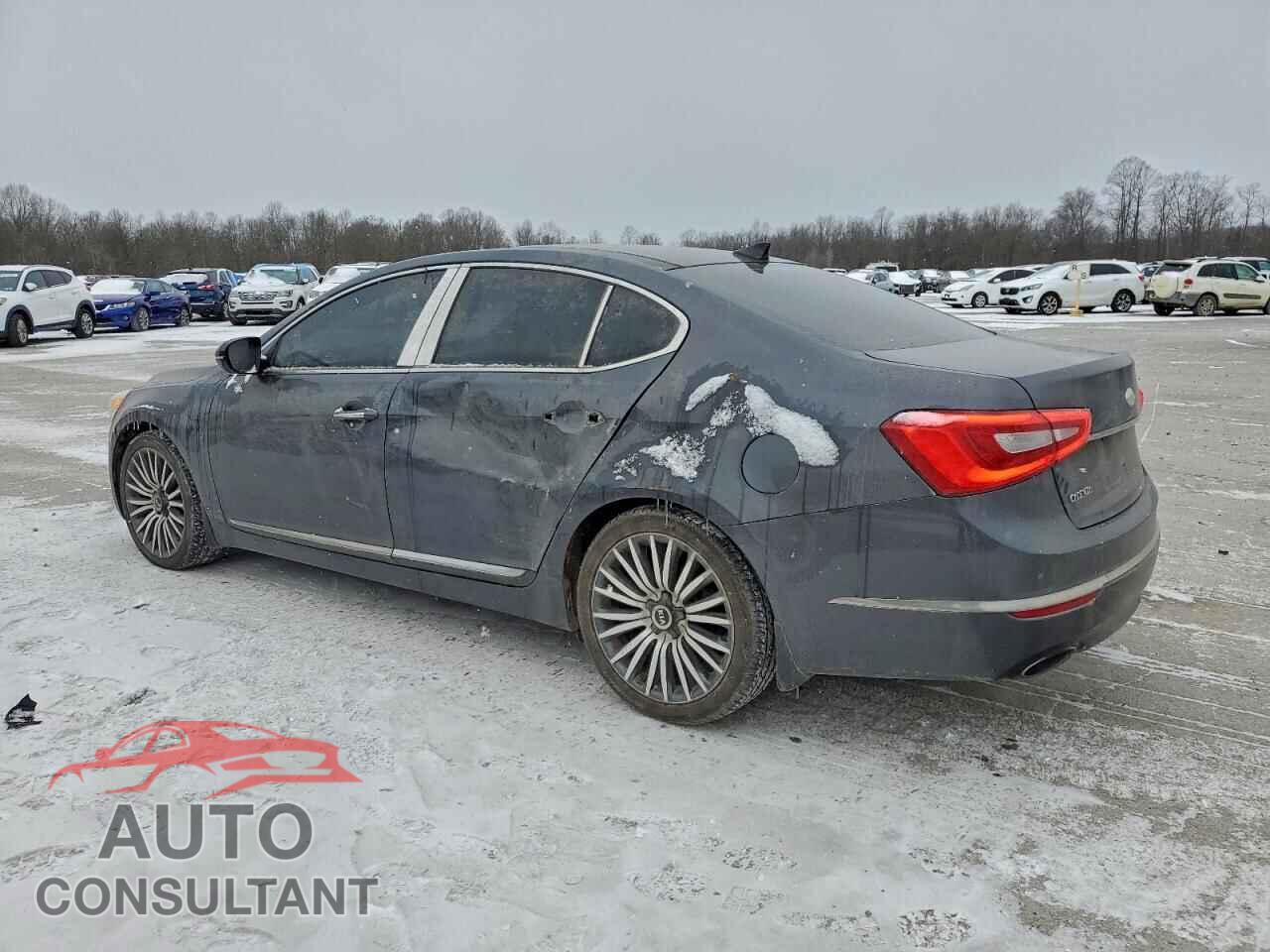 KIA CADENZA 2014 - KNALN4D79E5128452