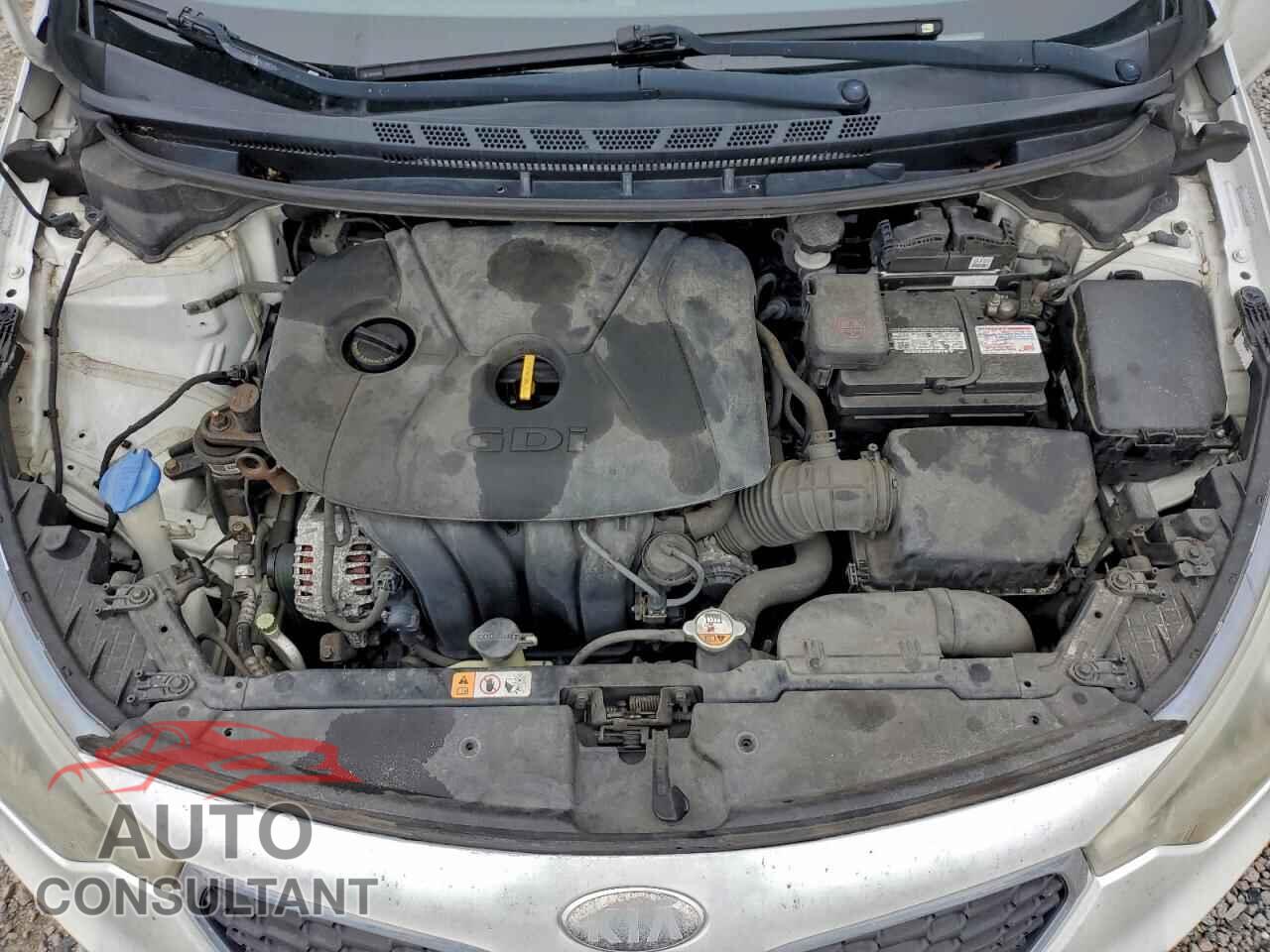 KIA FORTE 2014 - KNAFX4A82E5084122