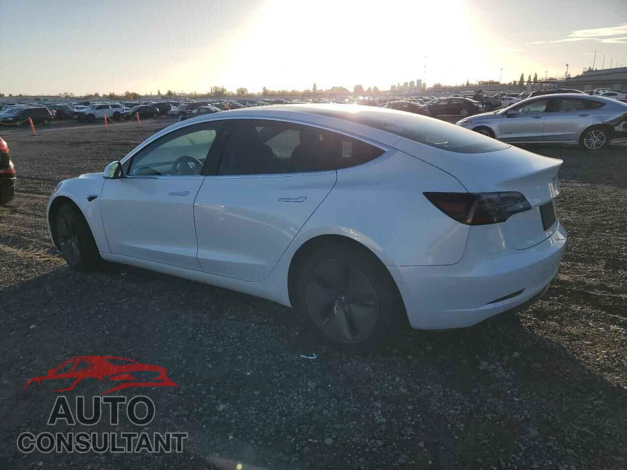 TESLA MODEL 3 2020 - 5YJ3E1EB8LF619739