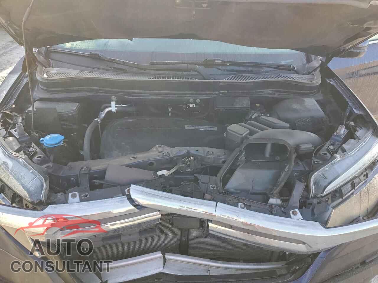 HONDA RIDGELINE 2019 - 5FPYK3F79KB031889
