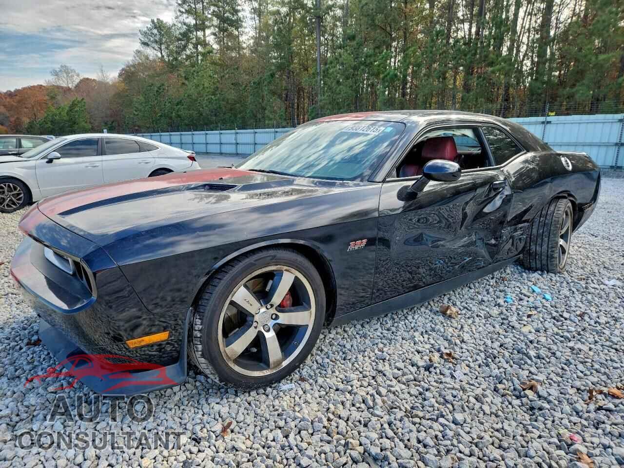 DODGE CHALLENGER 2014 - 2C3CDYCJ8EH211958