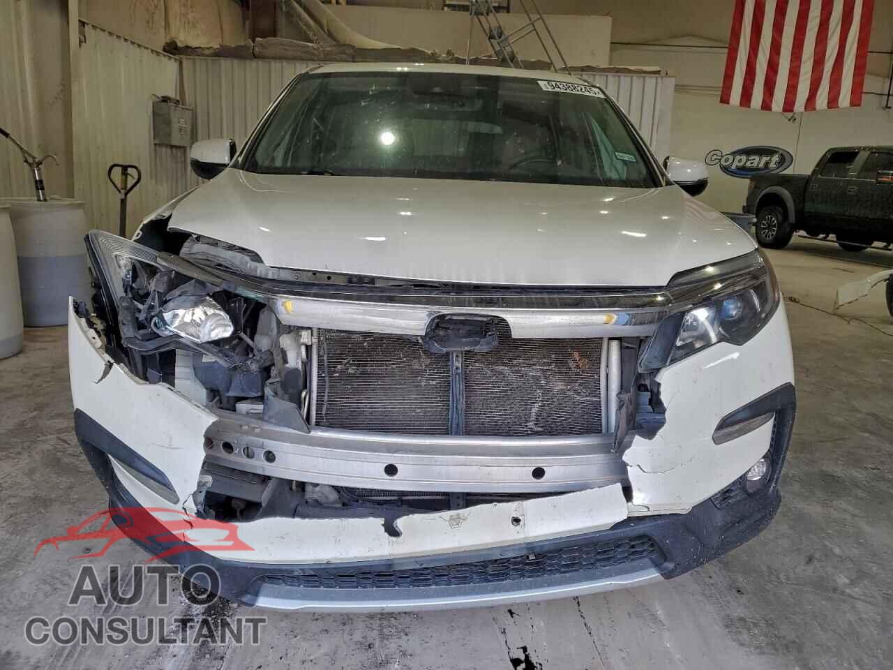 HONDA PILOT 2019 - 5FNYF5H58KB014618