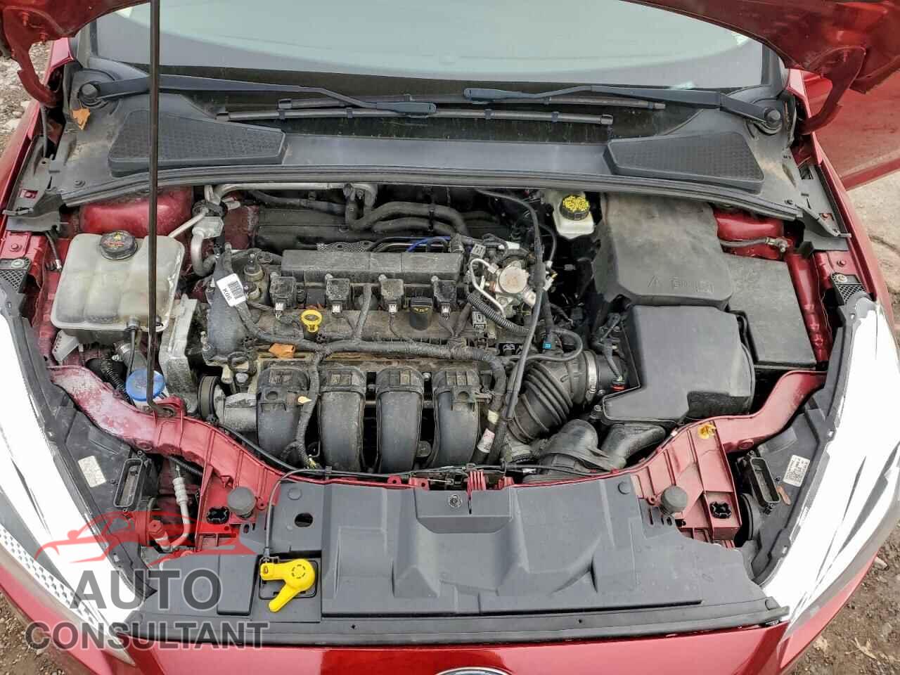 FORD FOCUS 2017 - 1FADP3F20HL261913