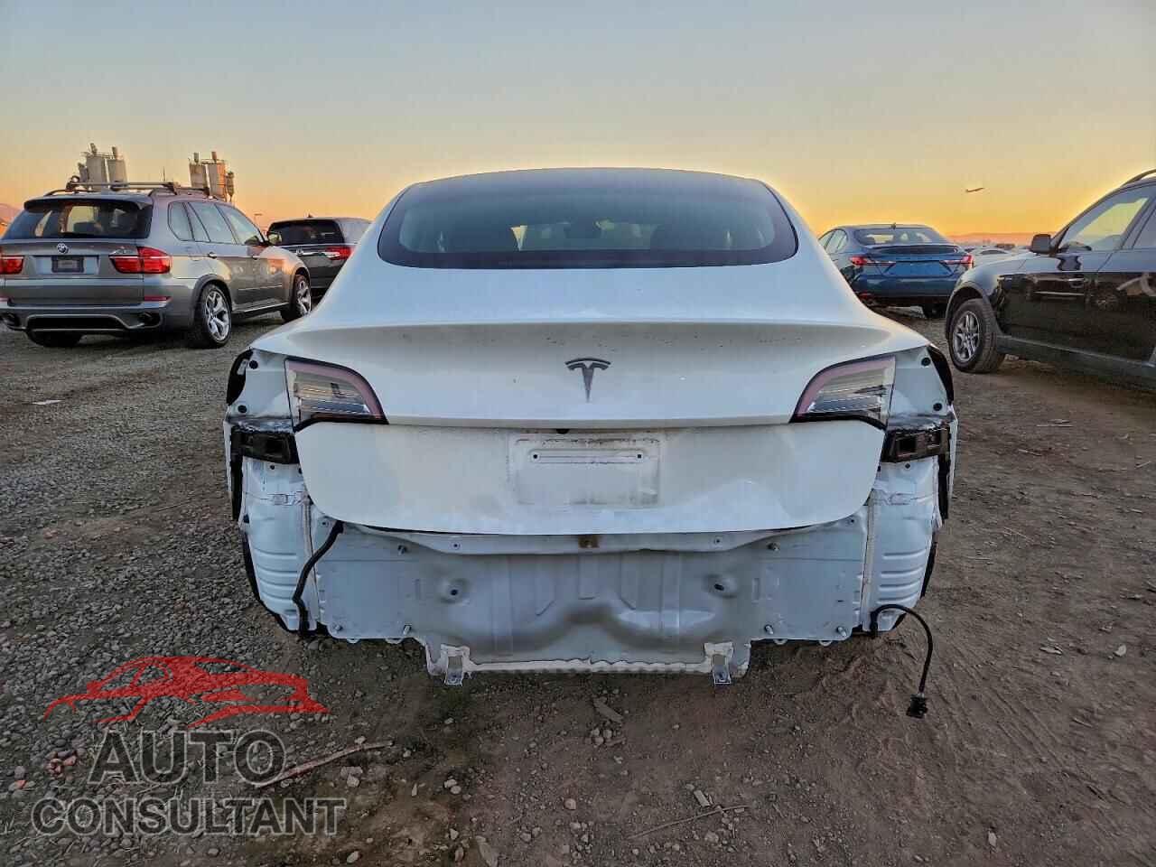 TESLA MODEL 3 2021 - 5YJ3E1EA9MF095753
