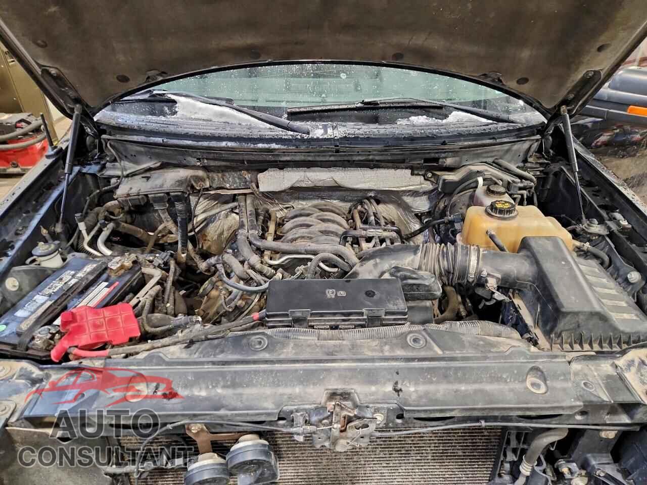 FORD F-150 2011 - 1FTFW1EF8BFA97721
