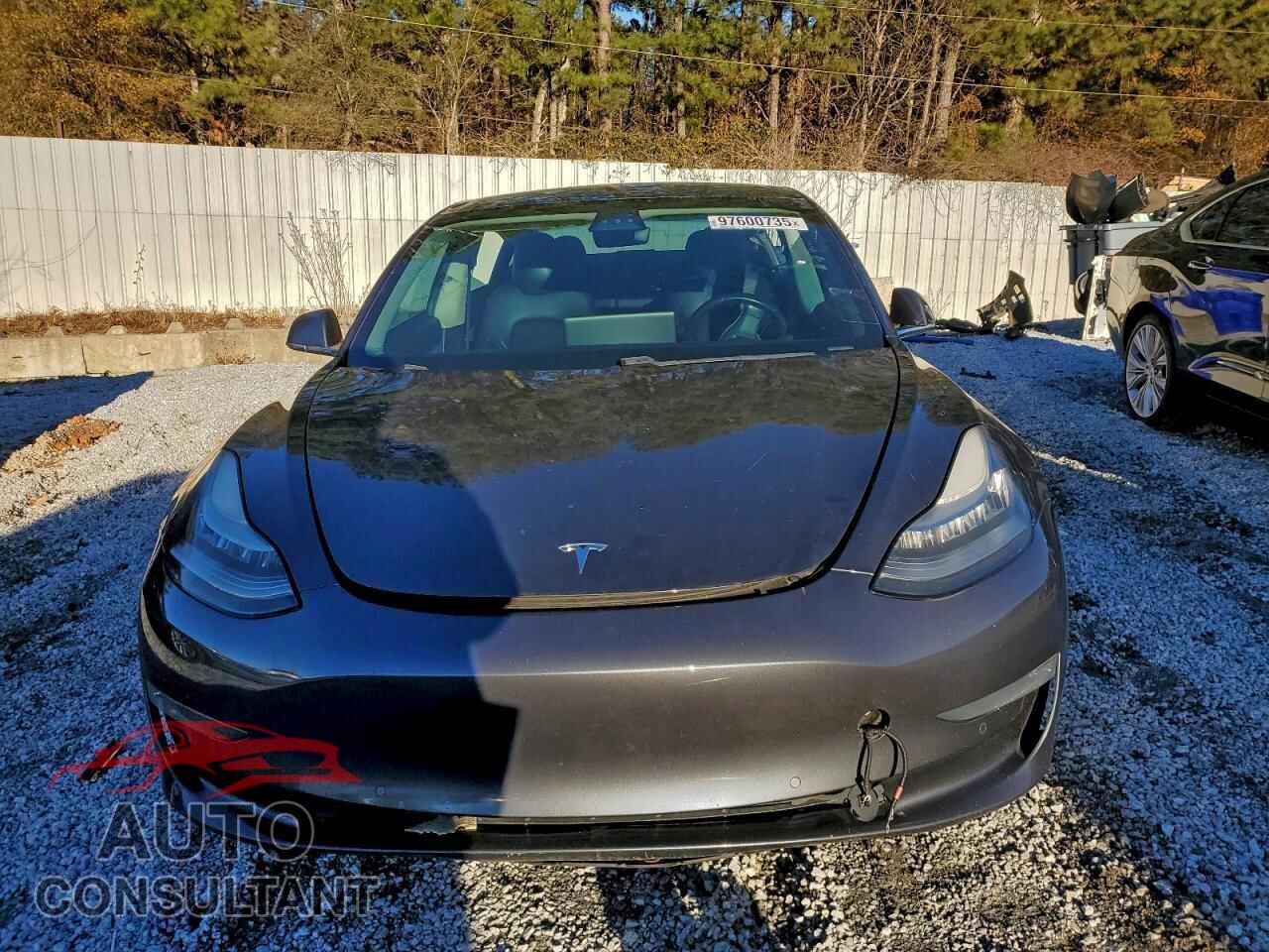 TESLA MODEL 3 2019 - 5YJ3E1EA2KF307650