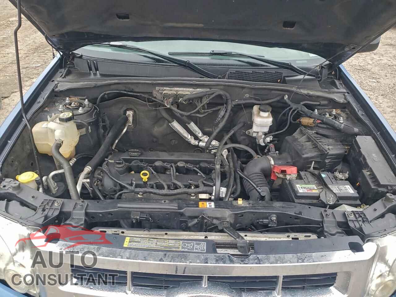 FORD ESCAPE 2010 - 1FMCU0D77AKA71917