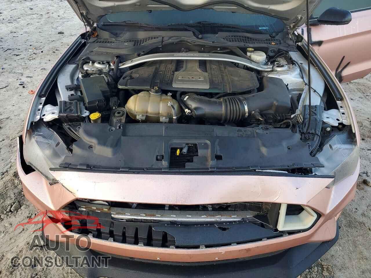 FORD MUSTANG 2019 - 1FATP8FF6K5126281