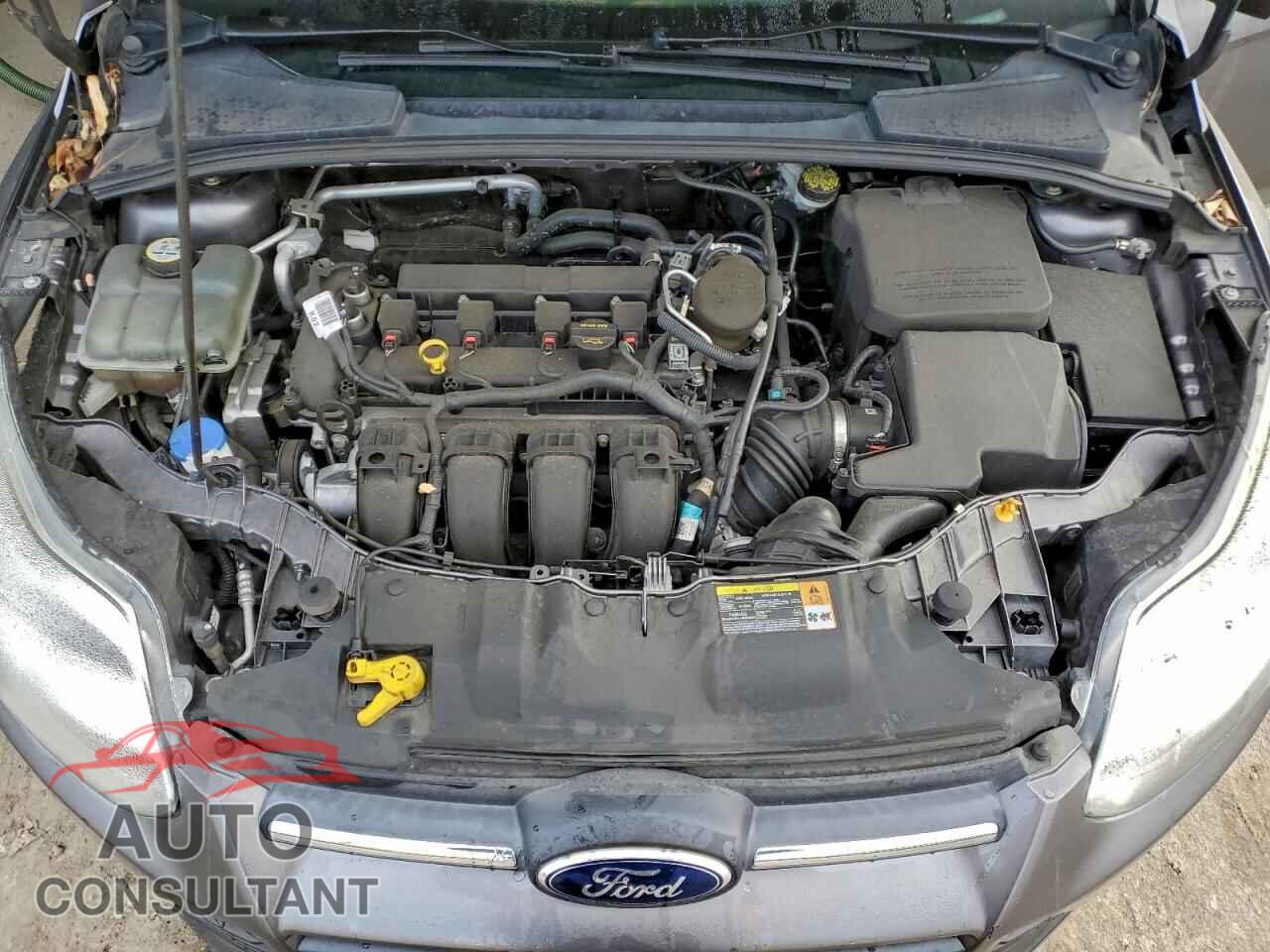 FORD FOCUS 2013 - 1FADP3K28DL145357