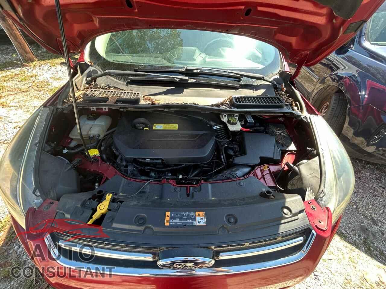 FORD ESCAPE 2013 - 1FMCU0HX0DUC20347